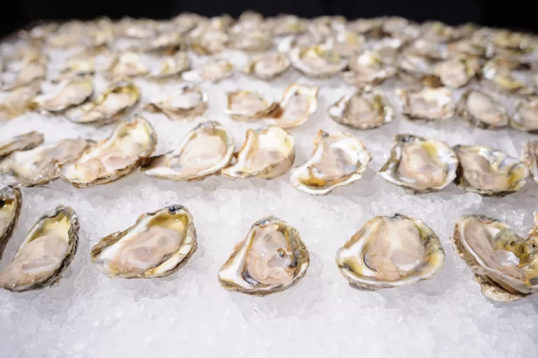 Food photography by professional photographer Andy DelGiudice