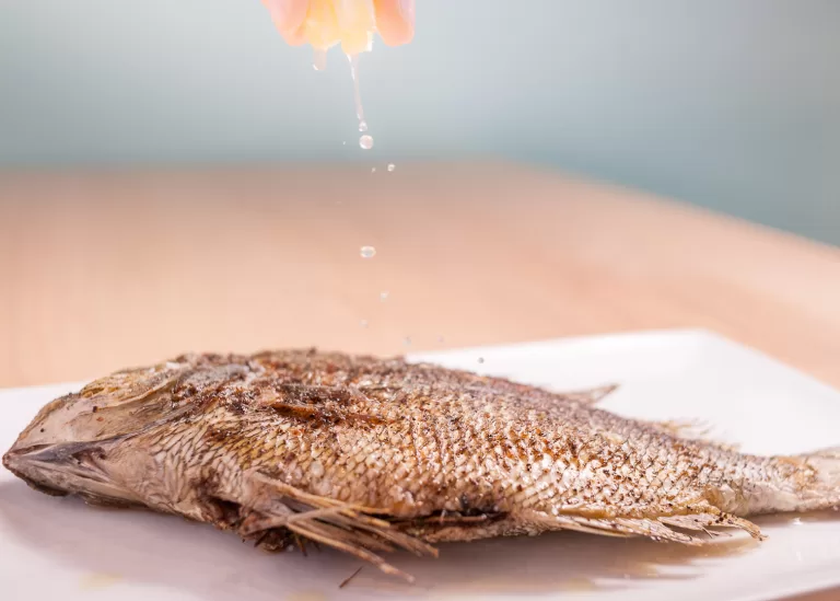 Food photography by professional photographer Andy DelGiudice